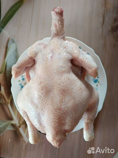 Куры бройлеры тушки мясо домашние