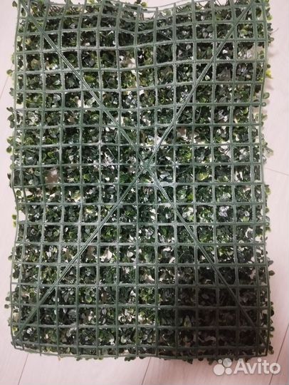 Искусственная трава самшит