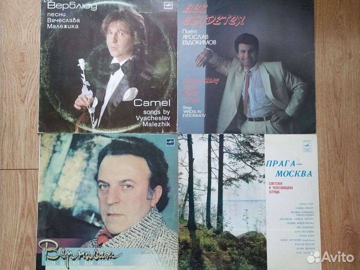 Виниловые пластинки