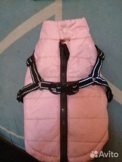 Жилет для собак со шлейкой petmax