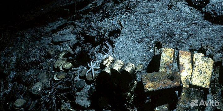 Пинпоинтер Pro-Pointer AT Z-Lynk в Твери