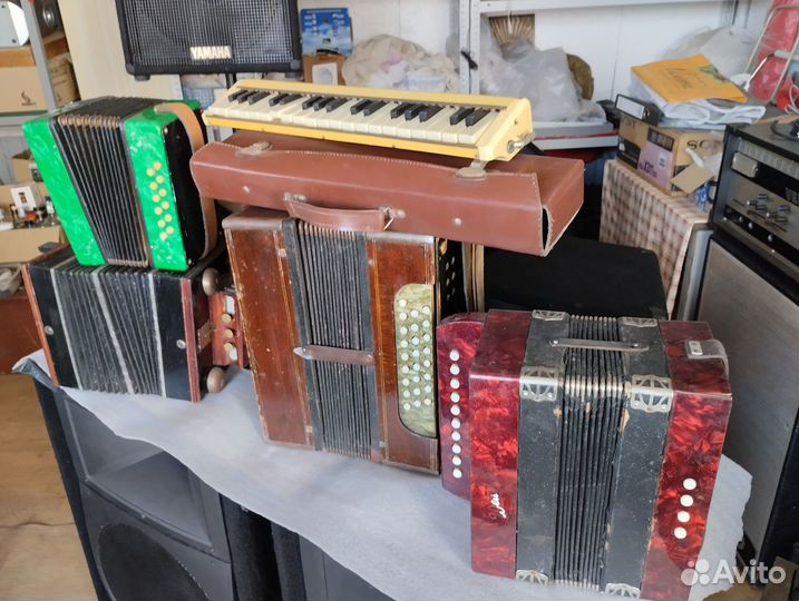 Гармонь СССР