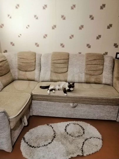 Дом 93,8 м² на участке 12,5 сот.