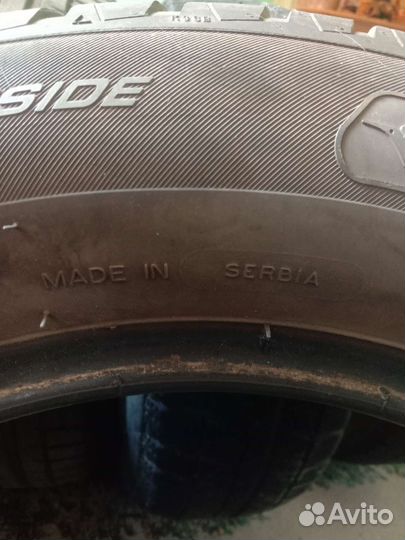 Bridgestone Blizzak DM-V1 190/65 R15