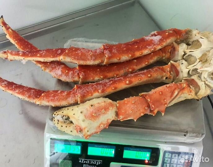 Конечности камчатского краба