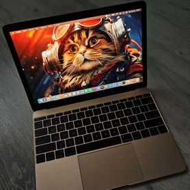 Macbook 12 2015 a1534 retina