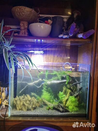 Украшение для аквариума