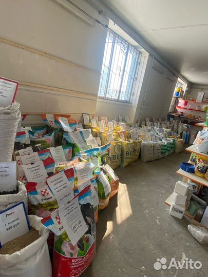 Брудер для перепелов, цыплят