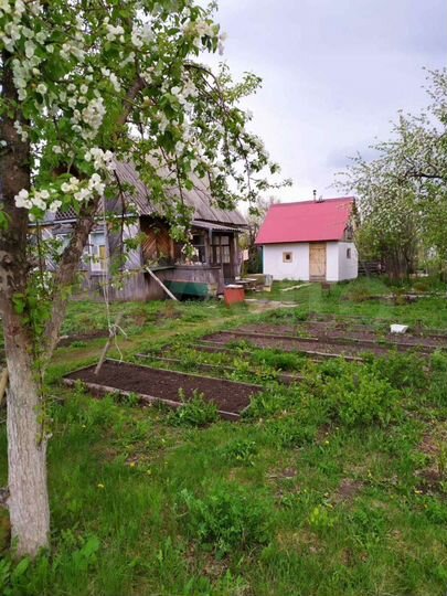 Дача 30 м² на участке 5,5 сот.