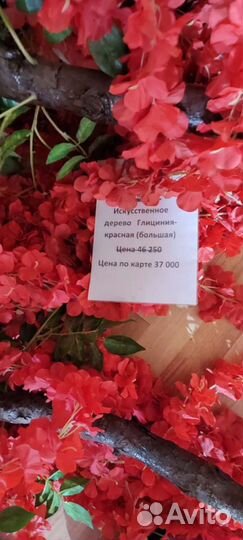 Декоративные деревья