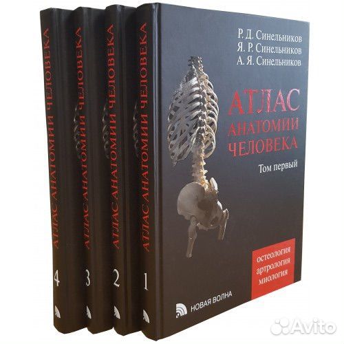 Атлас анатомии человека синельников
