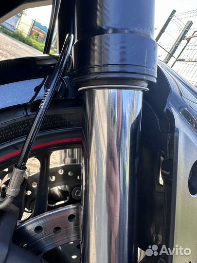 Triumph Tiger 1050 sport