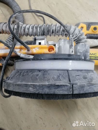 Шкурчная жираф