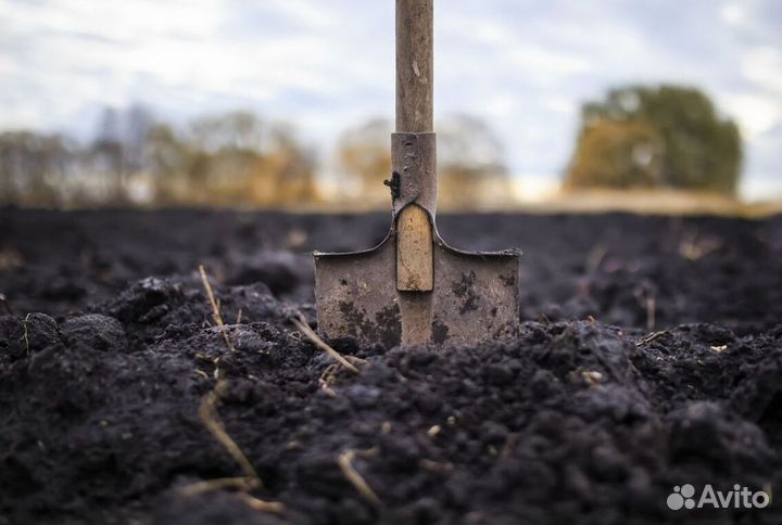 Чернозём. Плодородный грунт. Песок. ст15