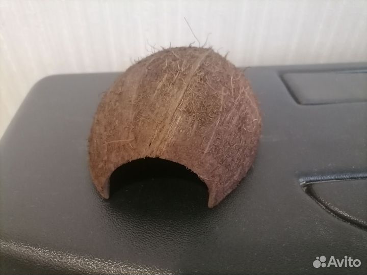 Декорации для аквариума