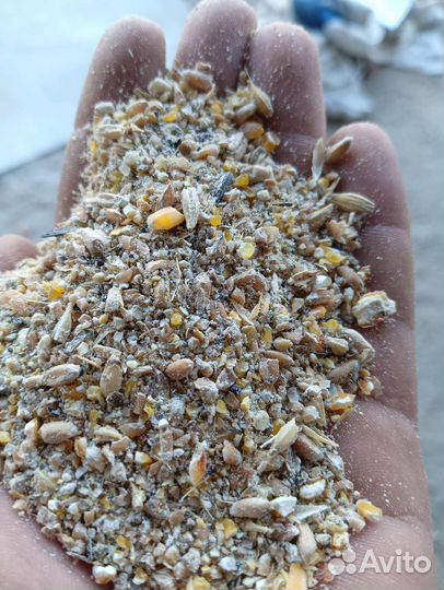 Птичий корм