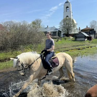 Лошадь соловая молодая самая красивая