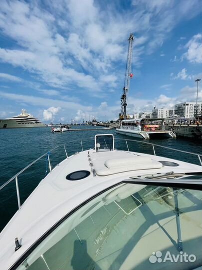 Аренда яхты катера без посредников