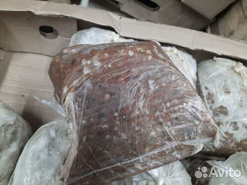 Продам фарш рыбный