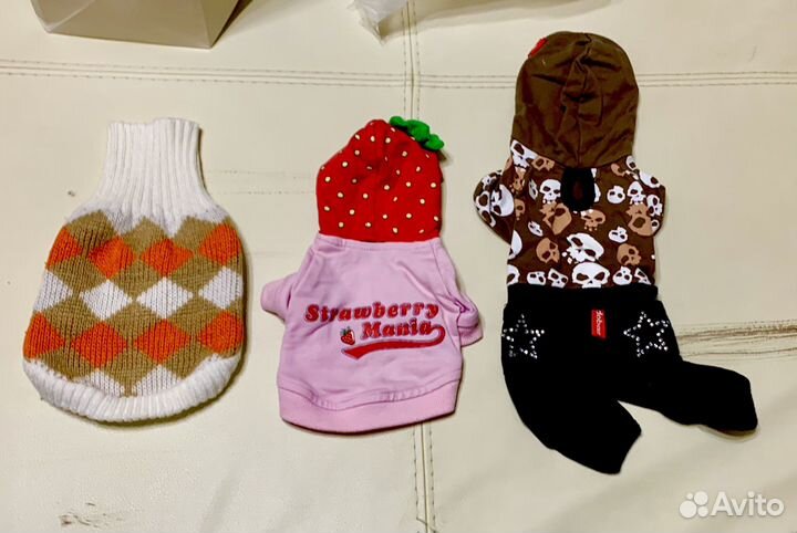 Одежда для маленькой собачки
