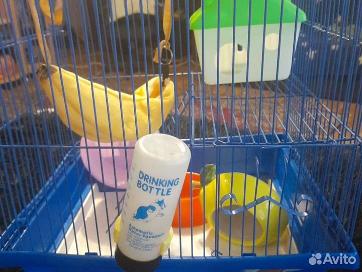 Клетка для грызунов