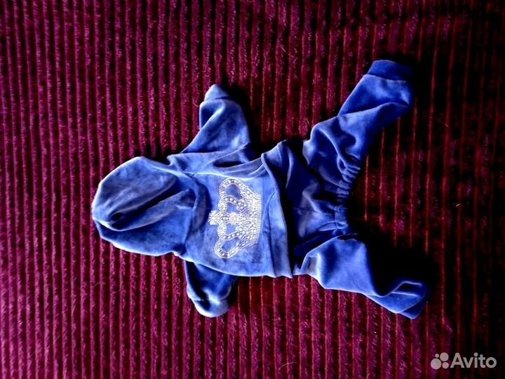 Одежда для маленьких собак бу