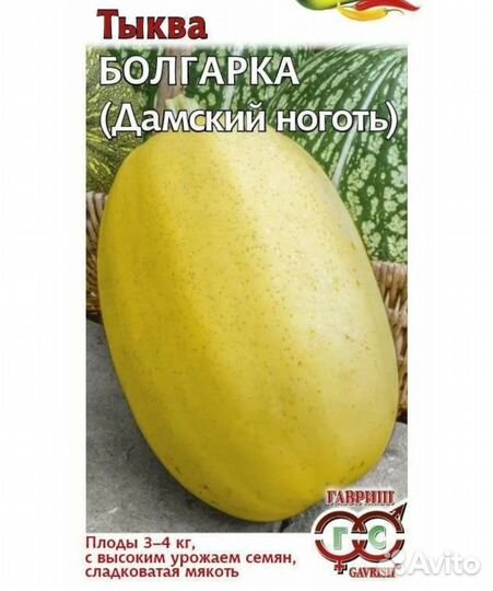 Рассада тыквы, дыни, арбузов