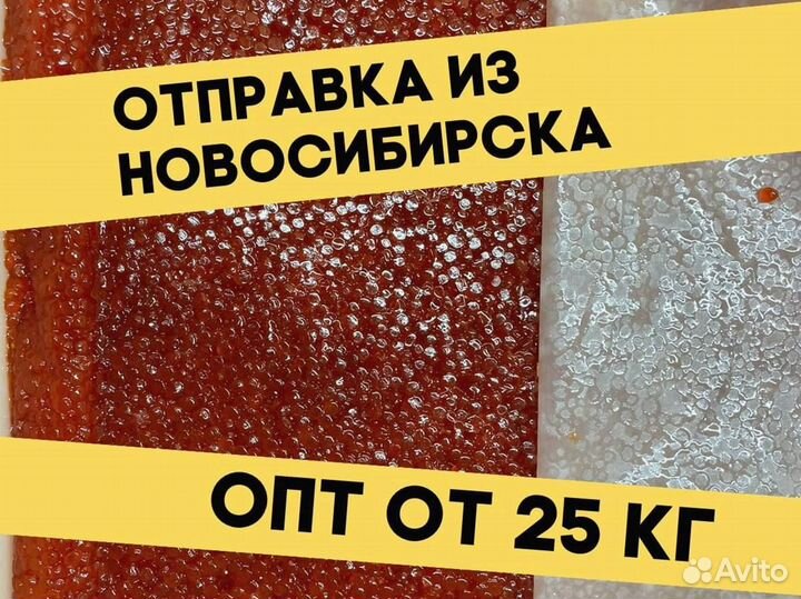 Икра красная нерки, улов июнь 2023 года