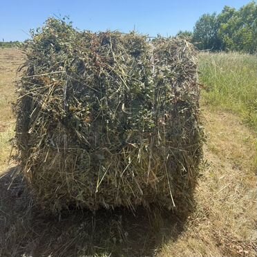 Сено в тюках