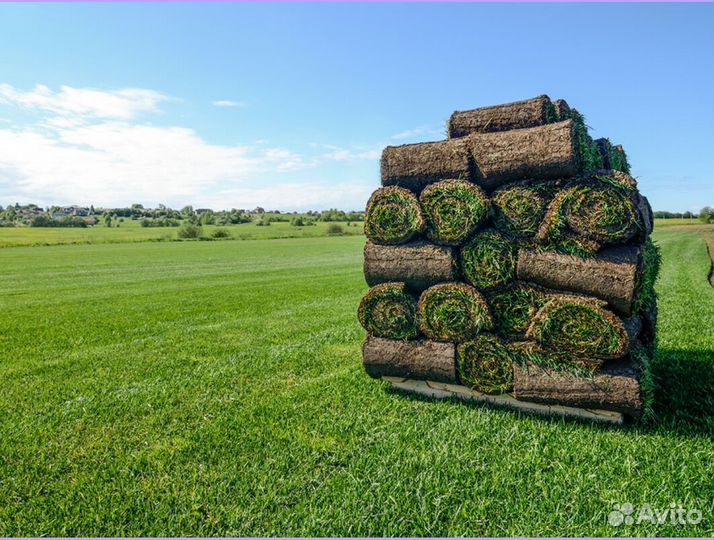 Спортивный рулонный газон