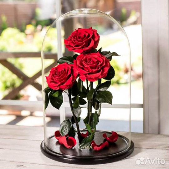 Неувядающая роза в колбе