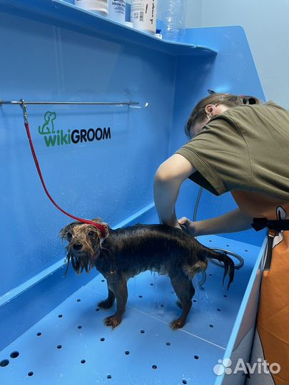 Уход, стрижка, гигиенический уход, груминг