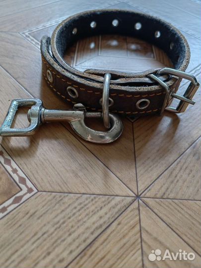 Ошейник и миска для собак