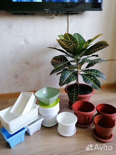 Горшки цветочные