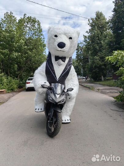 Надувные костюмы, мишка, чебурашка, панда