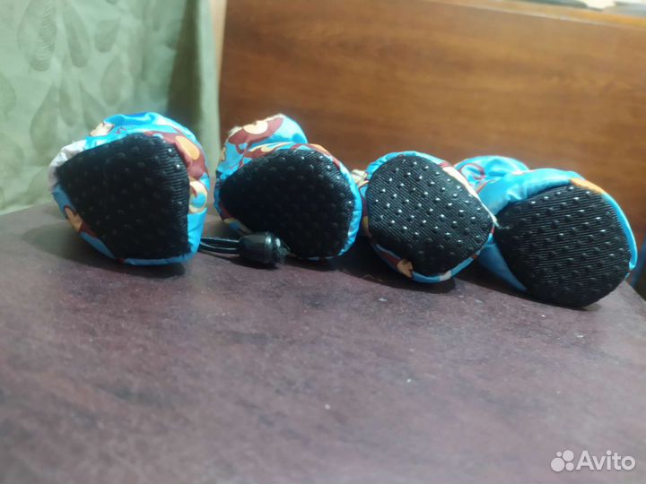 Обувь для маленьких собак