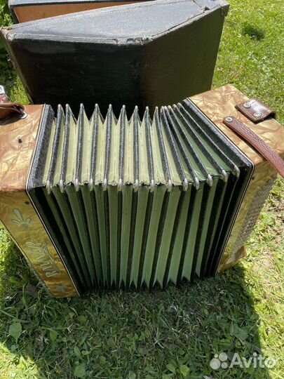 Аккордеон Rauner