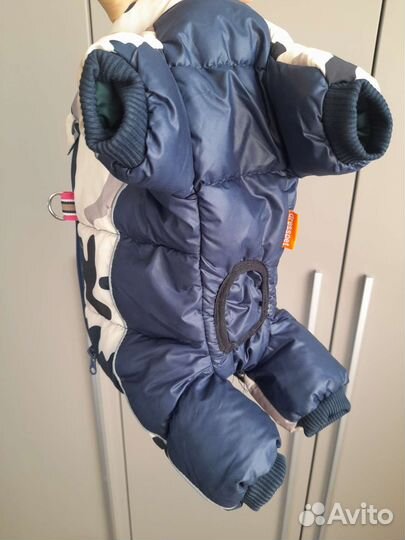 Одежда для маленьких собак