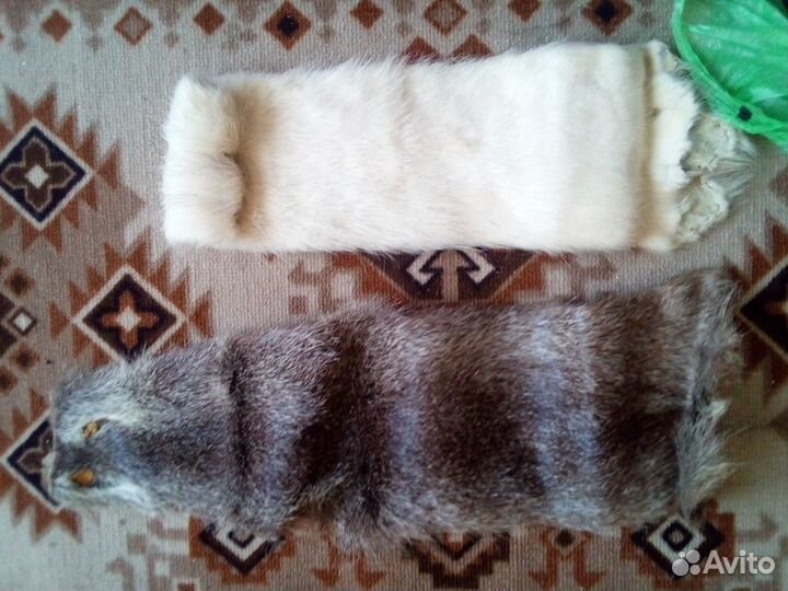 Шкурки нутрии,2 шт, отдам даром