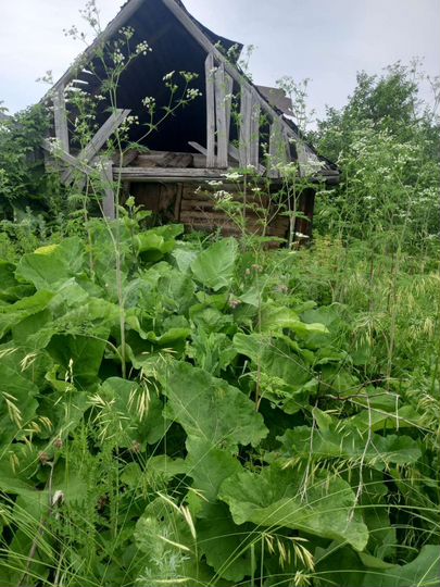 Участок 15 сот. (ИЖС)