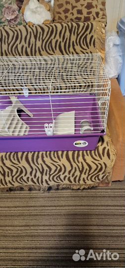 Клетка для грызунов бу