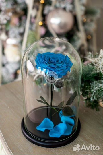 Роза в колбе. Гарантия качества