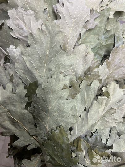 Банные веники