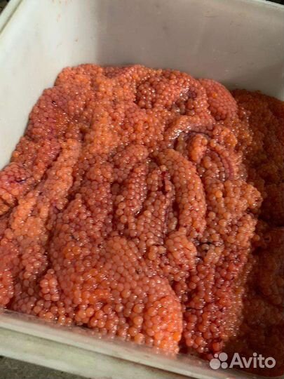 Красная икра горбуши