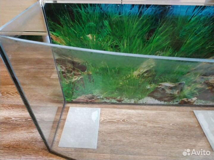 Аквариум (протекающий)