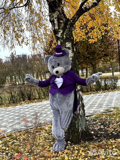 Мишка Тедди на праздник