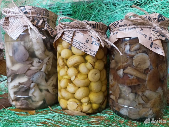 Грибы Опята, Вешенки, Шампиньоны