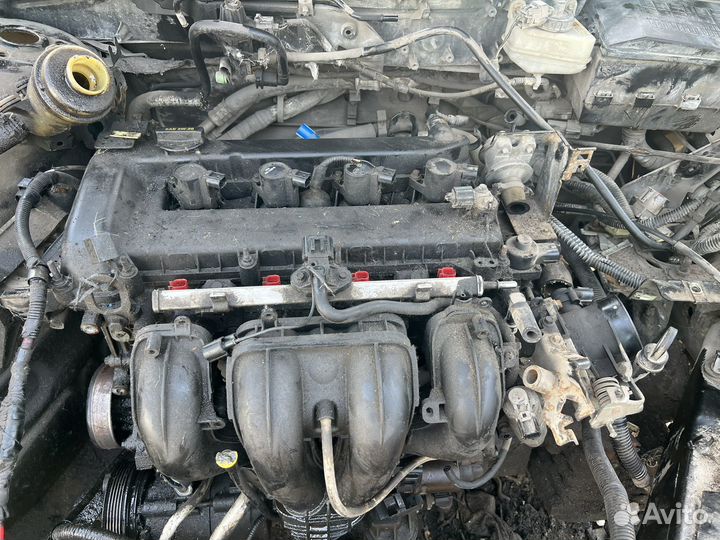 Двигатель Ford Focus 2.0