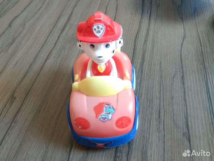 Собака на машине,музыкальная