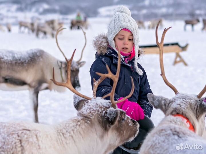 Экскурсия — Мурманск — Саамская деревня: путешеств